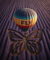 A colorful hot air balloon with the word "FLY" written on it flies over an endless field of lavender, leaving behind its shadow in the shape of a butterfly. This is an aerial, top-down view,