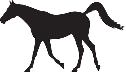 Black horse vector illustration.