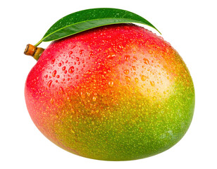 Fresh mango fruit tropical mango fruit healthy mango fruit vitamin on transparent background