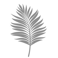 Fototapeta premium Palm Leave Illustration
