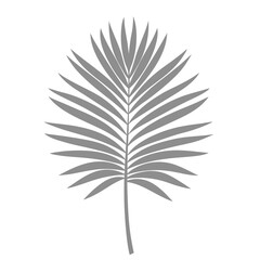 Obraz premium Palm Leave Illustration