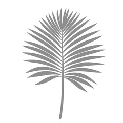 Obraz premium Palm Leave Illustration