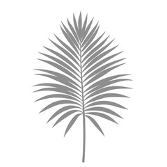 Fototapeta premium Palm Leave Illustration