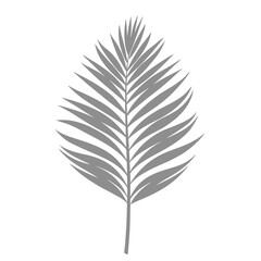 Fototapeta premium Palm Leave Illustration