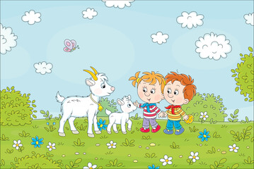 Little boy and girl treating a cute small goatling to a tasty cookie in a flower green field on fun summer vacations, vector cartoon illustration