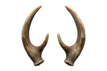 Fototapeta premium pair of toy reindeer horns high quality realistic image