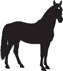 Mountain Pleasure Horse in silhouette pure white background.