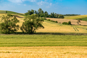 Countryside landscape with sky and fields, real life photo