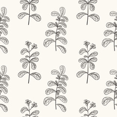 Stevia engraved plant on seamless pattern. Floral repeating background with freshness herbs, sugar leafs. Botanical doodle for textile, wrapping, paper. Food sweetener. Hand drawn vector illustration