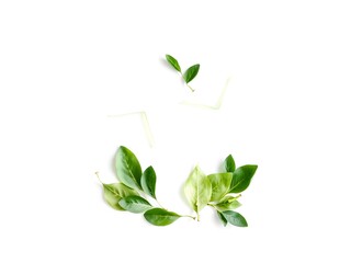 Recycling Leaves Icon on Light Background – Eco-Friendly Concept of Sustainable Production, Eco Plastic, and Green Fuel (AI Generated)