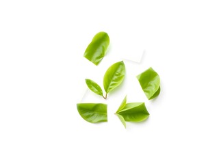Recycling Leaves Icon on Light Background – Eco-Friendly Concept of Sustainable Production, Eco Plastic, and Green Fuel (AI Generated)