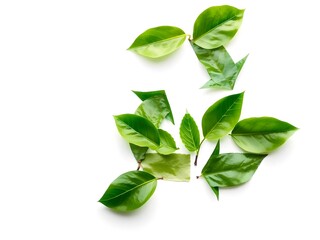 Recycling Leaves Icon on Light Background – Eco-Friendly Concept of Sustainable Production, Eco Plastic, and Green Fuel (AI Generated)