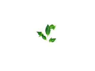 Recycling Leaves Icon on Light Background – Eco-Friendly Concept of Sustainable Production, Eco Plastic, and Green Fuel (AI Generated)