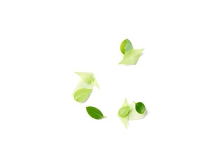 Recycling Leaves Icon on Light Background – Eco-Friendly Concept of Sustainable Production, Eco Plastic, and Green Fuel (AI Generated)