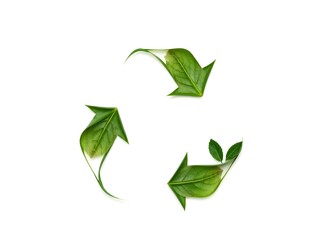 Recycling Leaves Icon on Light Background – Eco-Friendly Concept of Sustainable Production, Eco Plastic, and Green Fuel (AI Generated)