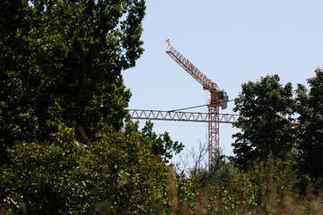 Tower crane among trees. Urban construction of buildings