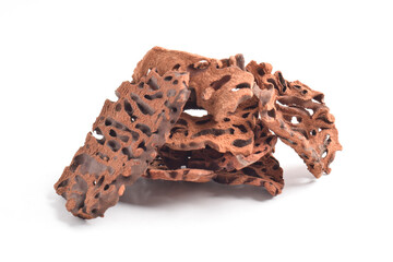 Ant Nest (Myrmecodia pendans), a traditional medicinal plant with porous, woody structure, isolated...