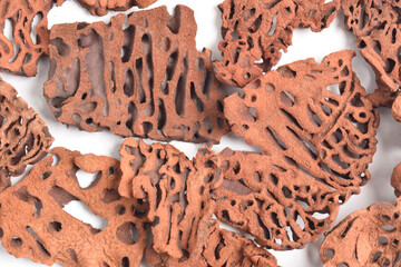 Close-up of Ant Nest (Myrmecodia pendans), a traditional medicinal plant with porous, woody structure