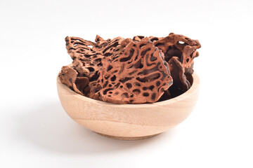 Ant Nest (Myrmecodia pendans), a traditional medicinal plant with porous, woody structure, isolated on white background.