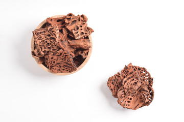 Ant Nest (Myrmecodia pendans), a traditional medicinal plant with porous, woody structure, isolated on white background.