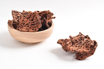 Ant Nest (Myrmecodia pendans), a traditional medicinal plant with porous, woody structure, isolated on white background.