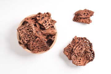 Ant Nest (Myrmecodia pendans), a traditional medicinal plant with porous, woody structure, isolated...