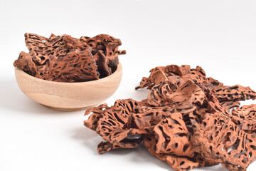 Ant Nest (Myrmecodia pendans), a traditional medicinal plant with porous, woody structure, isolated...
