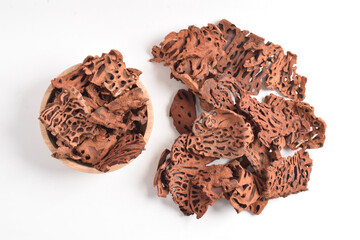 Ant Nest (Myrmecodia pendans), a traditional medicinal plant with porous, woody structure, isolated...