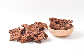 Ant Nest (Myrmecodia pendans), a traditional medicinal plant with porous, woody structure, isolated...