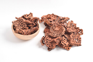 Ant Nest (Myrmecodia pendans), a traditional medicinal plant with porous, woody structure, isolated...