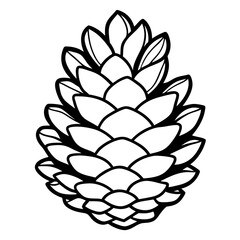 Minimal Pinecone Line Art Illustration 