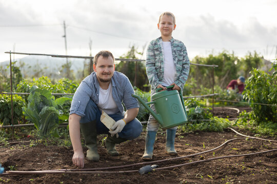 Farmer with son plant semen in cultivated land. Process of growing organically healthy vegetables and herbs on the farm. Season for planting seeds in the garden - Powered by Adobe