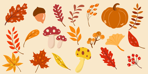 Hand drawn vector set autumn elements. Fall autumn leaves, mushrooms, maple, acorns, berries, oak, pumpkins. Colorful autumn illustration. 