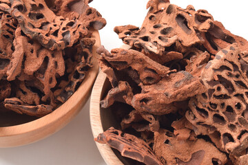 Close-up of Ant Nest (Myrmecodia pendans), a traditional medicinal plant with porous, woody...