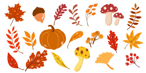 Hand drawn vector set autumn elements. Fall autumn leaves, mushrooms, maple, acorns, berries, oak, pumpkins. Colorful autumn illustration.  © AdoraARTs