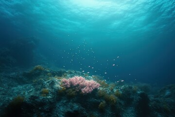 Fototapeta premium Underwater scene with vibrant pink coral surrounded by small fish swimming over rocky seabed under blue ocean light