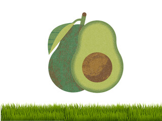 green avocado on a white background