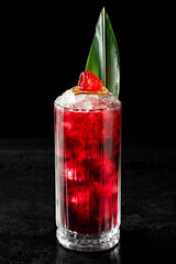 Elegant red cocktail with ice, raspberry, dried citrus, and green leaf garnish in a tall glass on a black background. Refreshing, vibrant, and visually striking drink presentation