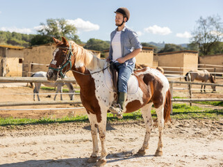 Young male equestrian rides horse in paddock