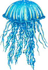 Watercolor jellyfish graphic illustration, which can be used in many forms such as scrapbook, postcards, stickers, teaching media, digital printing and many more.
