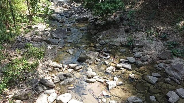 flowing water stream creek in tropical forest