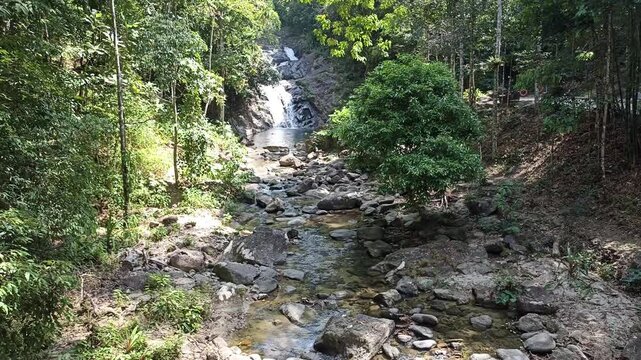 flowing water stream creek cascade waterfall in tropical forest