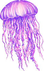 Watercolor jellyfish graphic illustration, which can be used in many forms such as scrapbook, postcards, stickers, teaching media, digital printing and many more.