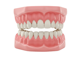 Obraz premium Isolated Set of False Teeth or Dentures