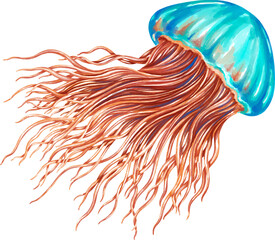 Watercolor jellyfish graphic illustration, which can be used in many forms such as scrapbook, postcards, stickers, teaching aids, digital printing and many more.