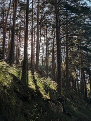 Fototapety na wymiar - Fototapeta24.pl