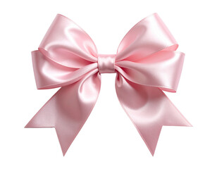Fototapeta premium Pink Bow – Isolated on White Background