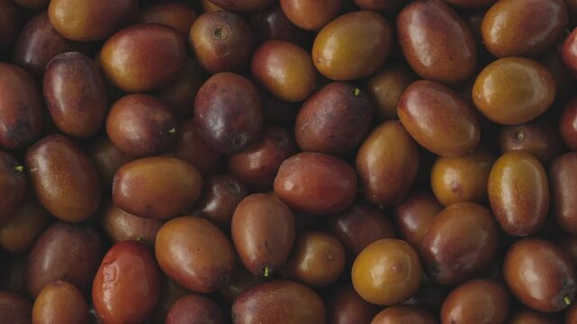 Ripe Ziziphus jujuba fruits with leaves. Chinese date fruits background rotating