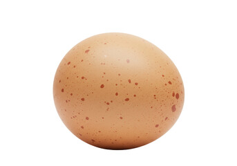 Isolated Natural Chicken Egg with Speckled Brown Shell