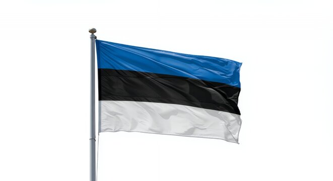 Estonian Flag Fluttering Proudly Against a Crisp White Sky